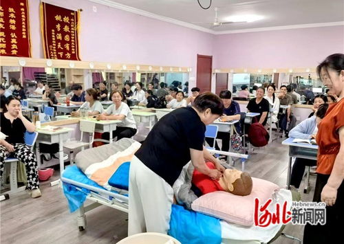 石家莊市橋西區 抓實技能培訓，賦能職工就業——市場調查服務助力就業新路徑